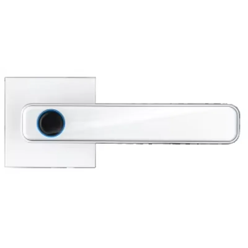 Porta Inteligente com Tela Sen - Smart Home App avaliação e preço
